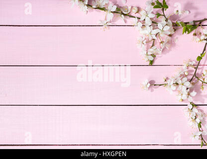 Rosa aus Holz Hintergrund mit blühenden Kirschbäume Niederlassungen. Stockfoto