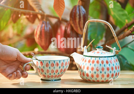 Heiße Trinkschokolade aus Tasse Pn Kakao Baum Hintergrund unscharf. Natürlicher Kakao Stockfoto