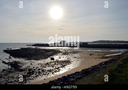 Ein Blick von Ruby Bay, Elie, Fife, Schottland, zurück in Richtung der Hauptbereich von Elie Hafen und der Lachs Fischer im Abendlicht Stockfoto