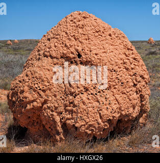 Termite Hügel in der Wüste South Western Australia Stockfoto