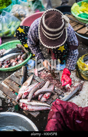 Psar Nat, der zentrale Markt, Stadt Battambang, Provinz Battambang, Kambodscha, Asien Stockfoto