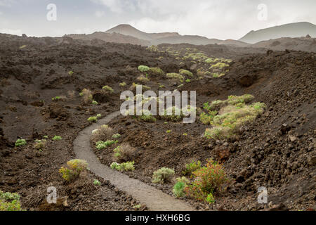 Ruta de Los Volcanes, La Palma, Kanarische Inseln Stockfoto