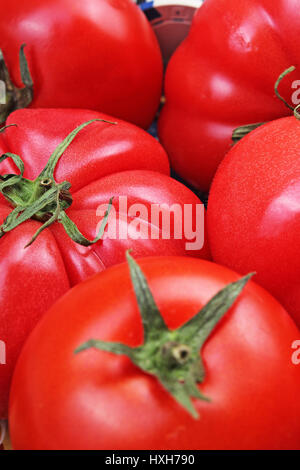 Omato Textur. Große rote Tomaten Closeup Hintergrundfoto. Haufen von Tomaten. Tomaten-Muster mit Studioleuchten. Stockfoto