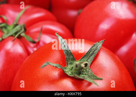 Omato Textur. Große rote Tomaten Closeup Hintergrundfoto. Haufen von Tomaten. Tomaten-Muster mit Studioleuchten. Stockfoto