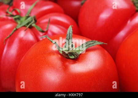 Omato Textur. Große rote Tomaten Closeup Hintergrundfoto. Haufen von Tomaten. Tomaten-Muster mit Studioleuchten. Stockfoto