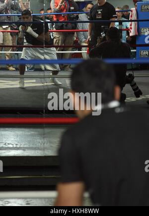 AMIR KHAN BOXER HOLLYWOOD LOS ANGELES Kalifornien USA 30. November 2010 Stockfoto