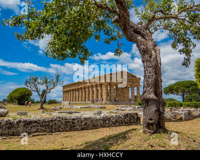 Paestum, Italien Stockfoto