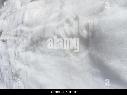 Menschliche Hand druckt auf den weißen Schnee-Wand Stockfoto