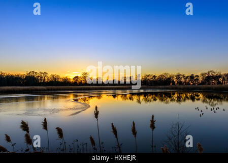 Sonnenuntergang auf einem eisigen Maryland-Teich in der Nähe der Chesapeake Bay im Winter Stockfoto