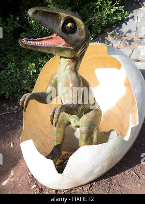 Baby T-Rex Stockfoto