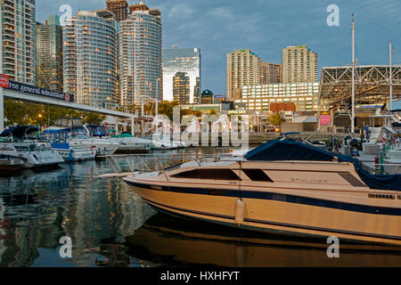 Die Queens Quay West Marina bei Sonnenuntergang, Toronto, Ontario, Kanada. Stockfoto