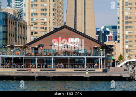 Die Amsterdam-Brauhaus am Rande des Lake Ontario, Queens Quay, Toronto, Kanada. Stockfoto