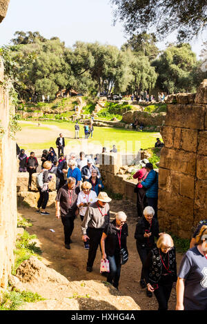 Welche Beschilderung gibt es im archäologischen Park Tipaza/Tipasa in französischer Sprache, scheint also für Englisch sprechende Besucher, eine geführte Tour durch diese bemerkenswerte Anci Stockfoto