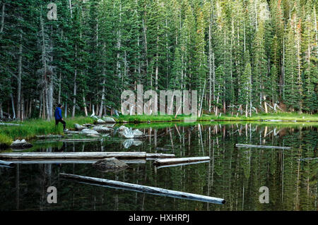 Wanderer am Spirit Lake, Santa Fe National Forest, New Mexico, USA Stockfoto