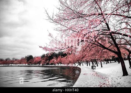 Japan von Amerika Stockfoto