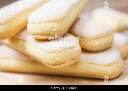 leichte Süße Ei Kekse genannt Savoyards für desserts Stockfoto