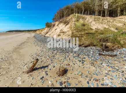 Erosion auf die Sanddünen in Llanddwyn Strand, Newborough, Anglesey Stockfoto