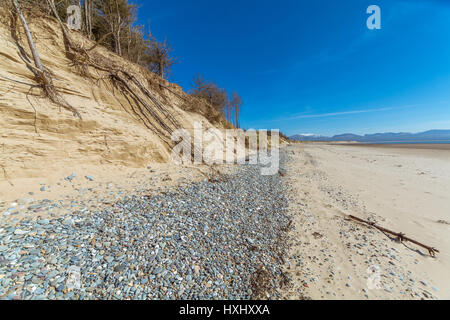 Erosion auf die Sanddünen in Llanddwyn Strand, Newborough, Anglesey Stockfoto