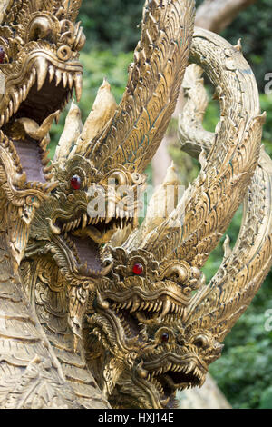 der Wat Tham Pla oder Affe Höhle Tempel in der Nähe der Stadt Mae Sai in Thailand im Norden der Stadt Chiang Rai im Norden Thailands. Stockfoto