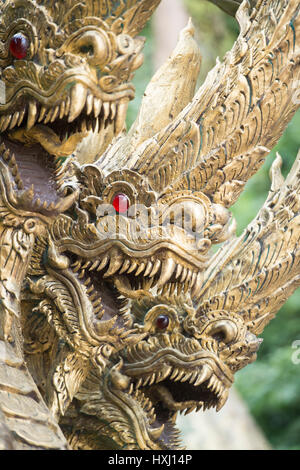 der Wat Tham Pla oder Affe Höhle Tempel in der Nähe der Stadt Mae Sai in Thailand im Norden der Stadt Chiang Rai im Norden Thailands. Stockfoto