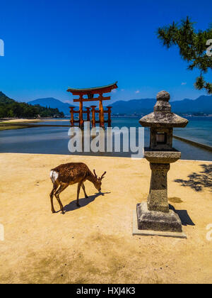 Itsukushima Shinto-Schrein in Miyajima, Japan Stockfoto