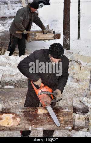 Leningrad Region, Russland - 2. Februar 2010: Arbeiter trimmen Zweige auf ein Protokoll, mit einer Kettensäge. Stockfoto