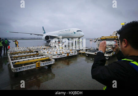 Vancouver, Kanada. 28. März 2017. Ein Flughafenmitarbeiters fotografiert ein Airbus A350-900-Passagier-Jet nach seinen ersten Flug nach Kanada in Vancouver, Kanada, am 28. März 2017 geplant. Ein neuen Airbus A350-900-Passagier-Jet machte seine ersten Linienflug nach Kanada am Dienstag und Cathay Pacific Nutzung des Flugzeugs für die Vancouver-Hong Kong-Route begann. Bildnachweis: Liang Sen/Xinhua/Alamy Live-Nachrichten Stockfoto