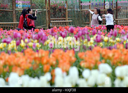 Der chinesischen Nanchang, Jiangxi Provinz. 28. März 2017. Touristen posieren für Fotos inmitten von Tulpen Blumen im Meiling National Forest Park in Wanli Bezirk von Nanchang, Hauptstadt der Osten Chinas Jiangxi Provinz, 28. März 2017. Bildnachweis: Peng Zhaozhi/Xinhua/Alamy Live-Nachrichten Stockfoto