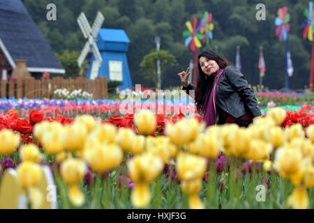 Der chinesischen Nanchang, Jiangxi Provinz. 28. März 2017. Eine Frau posiert für Fotos inmitten von Tulpen Blumen im Meiling National Forest Park in Wanli Bezirk von Nanchang, Hauptstadt der Osten Chinas Jiangxi Provinz, 28. März 2017. Bildnachweis: Peng Zhaozhi/Xinhua/Alamy Live-Nachrichten Stockfoto