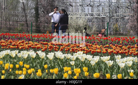 Srinagar, Kaschmir. 29. März 2017. Indische Touristen schlendern im Tulip Garten. Wie der Frühling in setzt und Blumen in voller Blüte stehen, ist für den 1. April das Tulpenfest bereit. Das Festival wird auf das Indira Gandhi Memorial Tulpe Garten, mit Blick auf den malerischen Dal Lake gehostet werden. Der Garten verfügt über mehr als 20 Lakh Tulpen 46 Sorten und seiner Eröffnung markiert den Beginn der Tourismussaison im Tal. Bildnachweis: Sofi Suhail/Alamy Live-Nachrichten Stockfoto