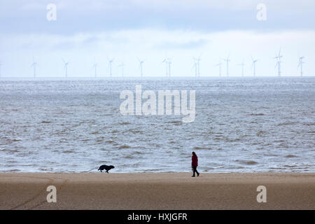 Walker mit einem frühen Morgen Hund Spaziergang Hund am Strand im beliebten touristischen Stadt von Rhyl, Denbighshire, Wales Stockfoto