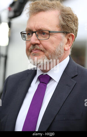 London, UK. 29. März 2017. Politiker am College Green. David Mundell Staatssekretär für Schottland Credit: Dinendra Haria/Alamy Live-Nachrichten Stockfoto