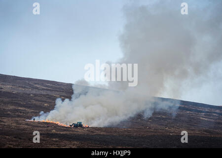 Ein Traktor steht als kontrolliertes Abbrennen Heidekraut, oder Muirburn erfolgt auf Moor in der Nähe von Inverness, Highland, Schottland. Stockfoto