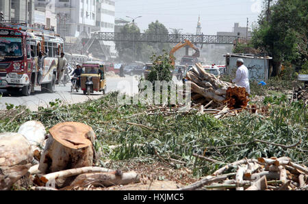 Straßenbäume sind behördlich DMC Malir lädt um zu beachten von Forest Department in Karachi auf Mittwoch, 29. März 2017 gekürzt worden. Straßenbäume sind grundlegende Schutz für Bürgerinnen und Bürger sich sicher und geschützt vor Verschmutzung und Hitze Striche zu halten. Stockfoto