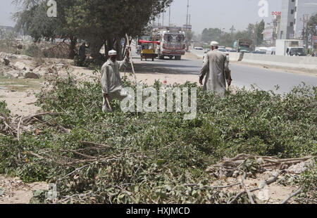 Straßenbäume sind behördlich DMC Malir lädt um zu beachten von Forest Department in Karachi auf Mittwoch, 29. März 2017 gekürzt worden. Straßenbäume sind grundlegende Schutz für Bürgerinnen und Bürger sich sicher und geschützt vor Verschmutzung und Hitze Striche zu halten. Stockfoto