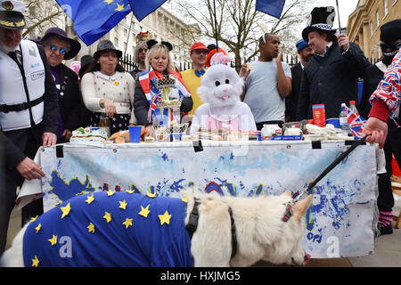 Whitehall, London, UK. 29. März 2017. Eine Protest-Gruppe halten Sie eine "Mahnwache für Europa" drei Tage pro Woche gegenüber Downing Street gegen verlassen der EU und Brexit gehalten. Bildnachweis: Matthew Chattle/Alamy Live-Nachrichten Stockfoto