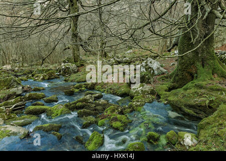 Geburt des Flusses Ason, Kantabrien, Spanien, Europa Stockfoto