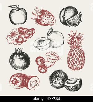 Früchte - Vektor Modern hand gezeichnete Designset illustrativ. Stock Vektor