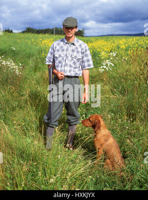 Mann im Lande Jagd mit Magyar Vizsla Hund, Fife, Schottland, Vereinigtes Königreich Stockfoto