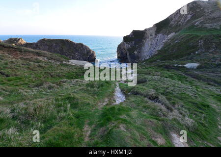 Treppe-Loch und Klippen in der Nähe von Lulworth Cove am Lulworth, Dorset an einem Frühlings-Nachmittag Stockfoto