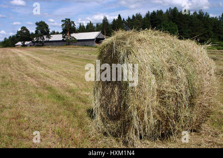 Lemozero, Olonez, Karelien, Russland - 26. Juli 2006: Eine Rolle von frischem Heu, liegend auf dem gemähten Feld auf russischen Bauern Ackerland an einem sonnigen Sommertag. Stockfoto