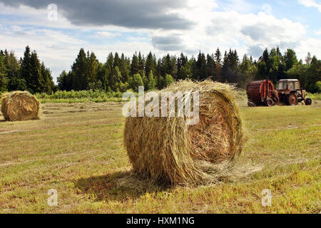 Lemozero, Olonez, Karelien, Russland - 26. Juli 2006: Moderne russische Landwirtschaft, Heu Rundballen von Traktoren montiert sind. Stockfoto