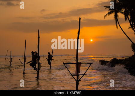 Silhouetten von der traditionellen srilankischen Stelzenfischer Stockfoto