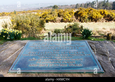 Gedenken-Plakette gewidmet AA Milne & EH Shepard, Schöpfer von Winnie The Pooh, Gils Schoß, Ashdown Forest, East Sussex, UK Stockfoto