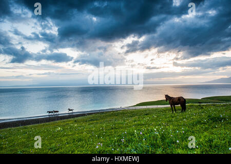 Sailimu Seenlandschaft, Sinkiang, China Stockfoto