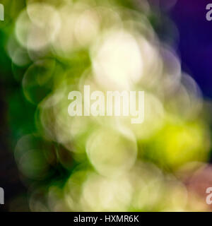 Farbe Grün Violett Gelb abstrakte Bokeh hellen Hintergrund Stockfoto