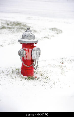 Ein rotes Feuerhydrant mit Schnee bedeckt Stockfoto