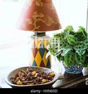 "Lampe, Topfpflanze und Potpourri." Stockfoto