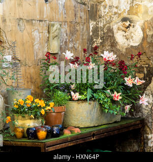 Blumen am Gartentisch. Stockfoto