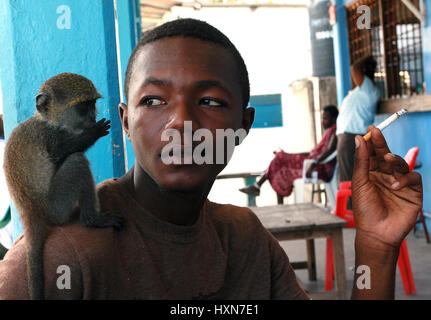 Zanzibar, Tansania - 16. Februar 2008: Junge afrikanische Mann 25 Jahre alt, in einem Straßencafé, Rauchen eine Zigarette zu halten, zähmen, Baby sittin Green monkey Stockfoto